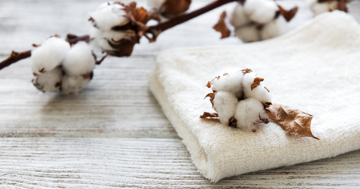 Major Uses of Cotton Fabrics