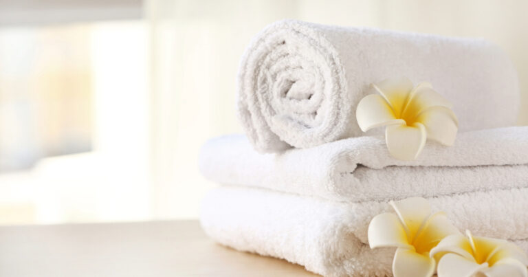 What is a Terry Cloth Towel